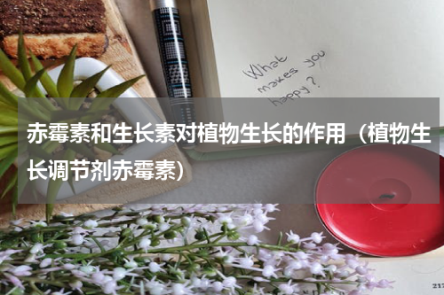 赤霉素和生长素对植物生长的作用（植物生长调节剂赤霉素）