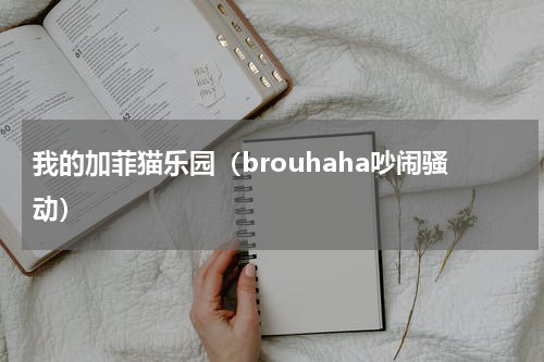 我的加菲猫乐园（brouhaha吵闹骚动）