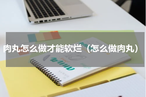 肉丸怎么做才能软烂（怎么做肉丸）