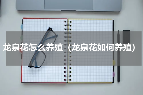 龙泉花怎么养殖（龙泉花如何养殖）