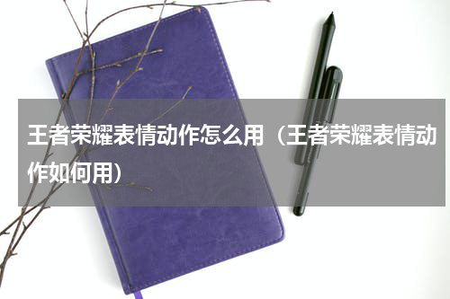 王者荣耀表情动作怎么用（王者荣耀表情动作如何用）