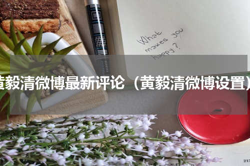 黄毅清微博最新评论（黄毅清微博设置）