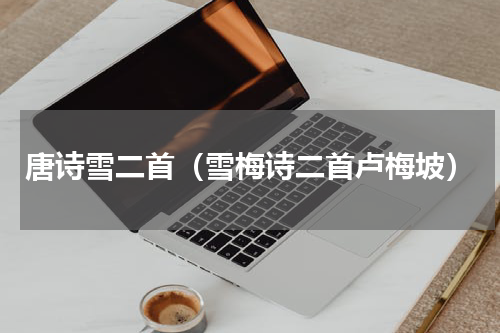 唐诗雪二首（雪梅诗二首卢梅坡）