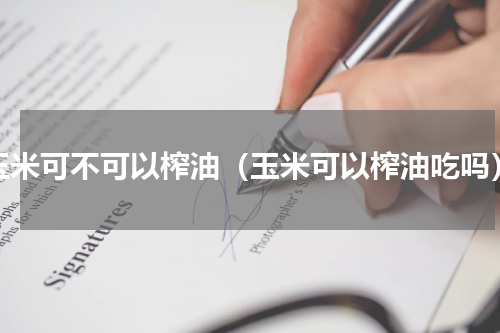 玉米可不可以榨油（玉米可以榨油吃吗）