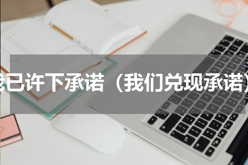 我已许下承诺（我们兑现承诺）