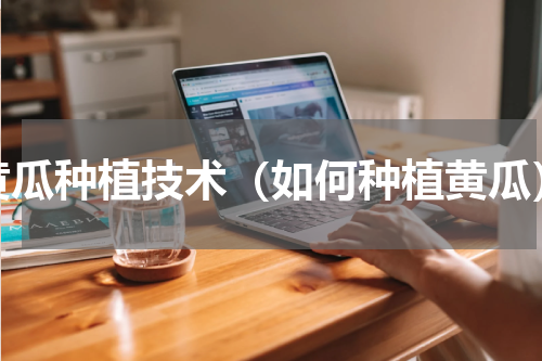 黄瓜种植技术（如何种植黄瓜）