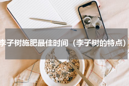 李子树施肥最佳时间（李子树的特点）