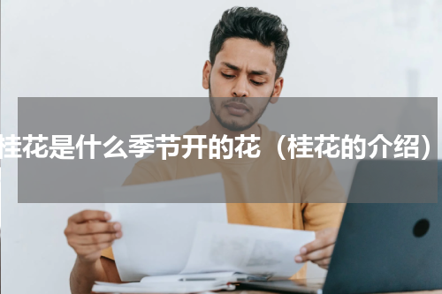 桂花是什么季节开的花（桂花的介绍）