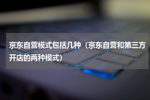 京东自营模式包括几种（京东自营和第三方开店的两种模式）