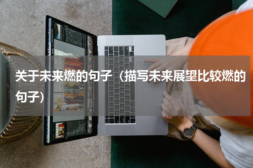 关于未来燃的句子（描写未来展望比较燃的句子）