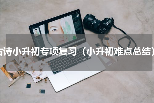 古诗小升初专项复习（小升初难点总结）