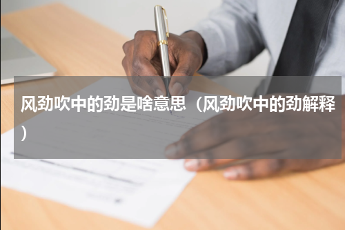 风劲吹中的劲是啥意思（风劲吹中的劲解释）