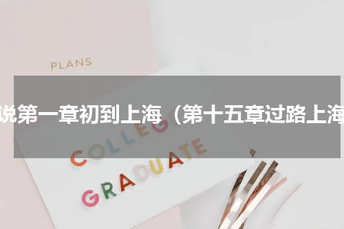 小说第一章初到上海（第十五章过路上海）