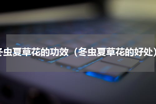 冬虫夏草花的功效（冬虫夏草花的好处）