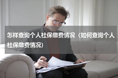 怎样查询个人社保缴费情况（如何查询个人社保缴费情况）