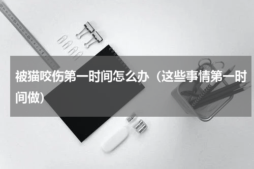 被猫咬伤第一时间怎么办（这些事情第一时间做）