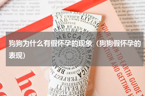 狗狗为什么有假怀孕的现象（狗狗假怀孕的表现）
