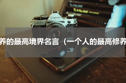 修养的最高境界名言（一个人的最高修养）
