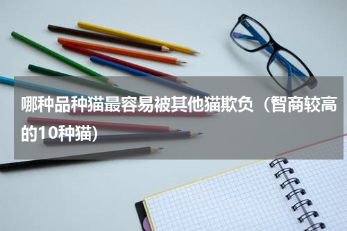 哪种品种猫最容易被其他猫欺负（智商较高的10种猫）