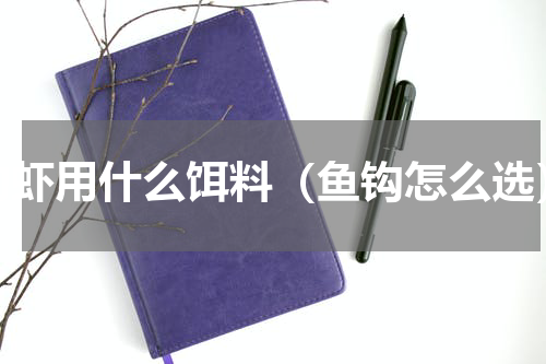 钓虾用什么饵料（鱼钩怎么选）