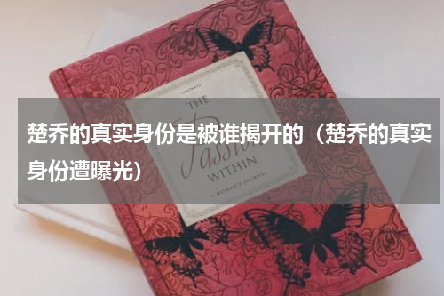 楚乔的真实身份是被谁揭开的（楚乔的真实身份遭曝光）