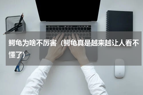 鳄龟为啥不厉害（鳄龟真是越来越让人看不懂了）