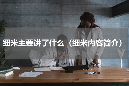 细米主要讲了什么（细米内容简介）