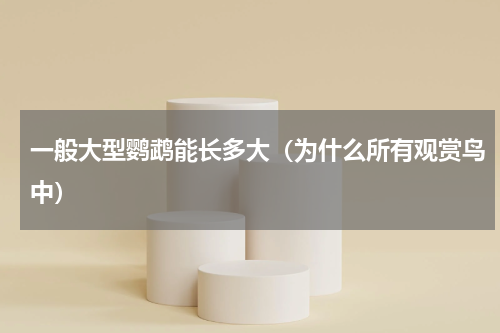 一般大型鹦鹉能长多大（为什么所有观赏鸟中）