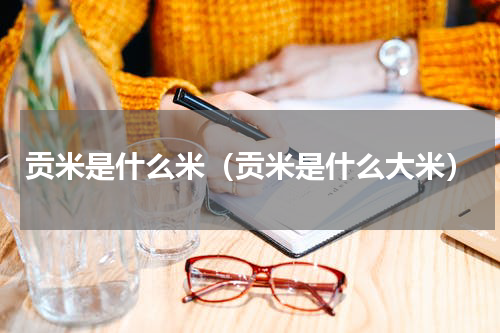 贡米是什么米（贡米是什么大米）