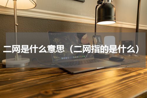 二网是什么意思（二网指的是什么）