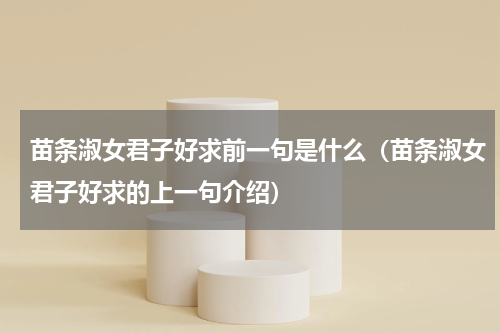 苗条淑女君子好求前一句是什么（苗条淑女君子好求的上一句介绍）