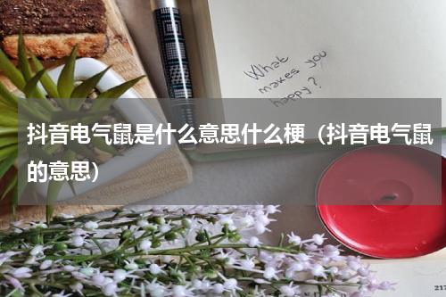 抖音电气鼠是什么意思什么梗（抖音电气鼠的意思）