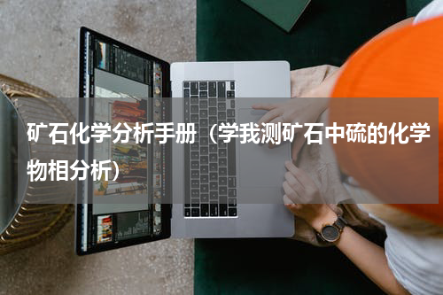 矿石化学分析手册（学我测矿石中硫的化学物相分析）