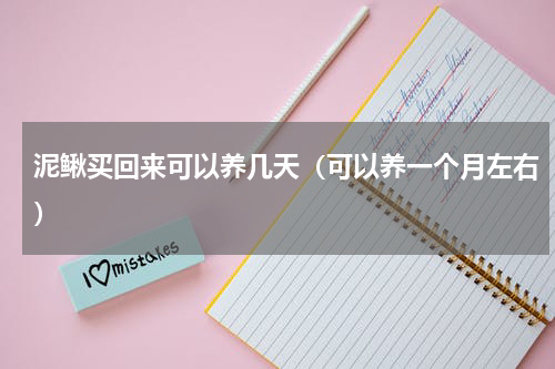 泥鳅买回来可以养几天（可以养一个月左右）