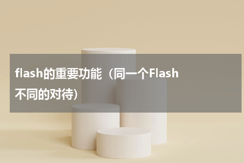 flash的重要功能（同一个Flash不同的对待）