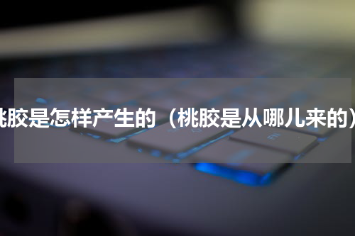桃胶是怎样产生的（桃胶是从哪儿来的）