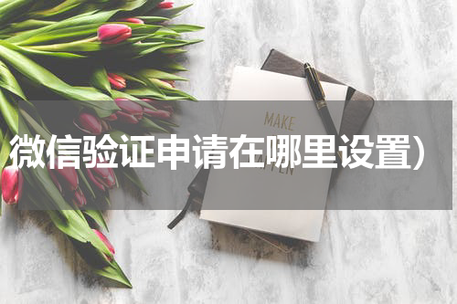 微信验证申请在哪里设置）