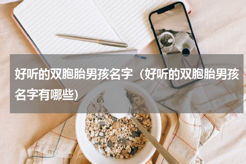 好听的双胞胎男孩名字（好听的双胞胎男孩名字有哪些）