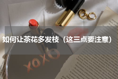 如何让茶花多发枝（这三点要注意）