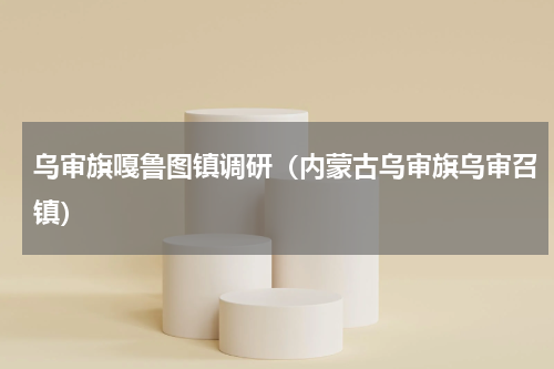 乌审旗嘎鲁图镇调研（内蒙古乌审旗乌审召镇）