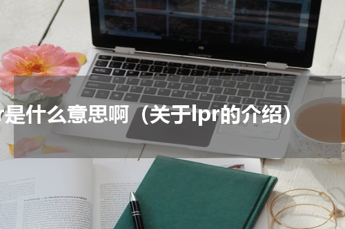 lpr是什么意思啊（关于lpr的介绍）