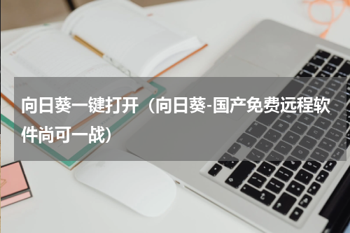 向日葵一键打开（向日葵-国产免费远程软件尚可一战）