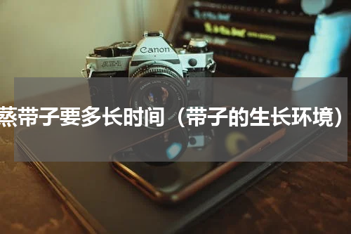 蒸带子要多长时间（带子的生长环境）