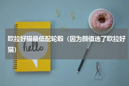 欧拉好猫最低配轮毂（因为颜值选了欧拉好猫）