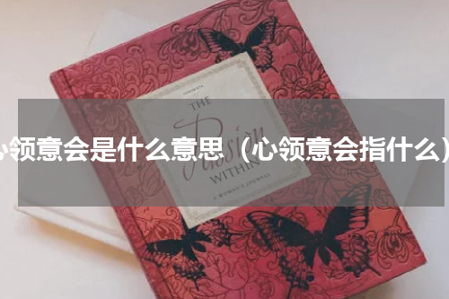 心领意会是什么意思（心领意会指什么）