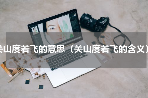 关山度若飞的意思（关山度若飞的含义）