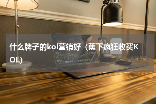 什么牌子的kol营销好（蕉下疯狂收买KOL）