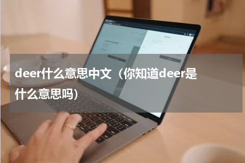 deer什么意思中文（你知道deer是什么意思吗）