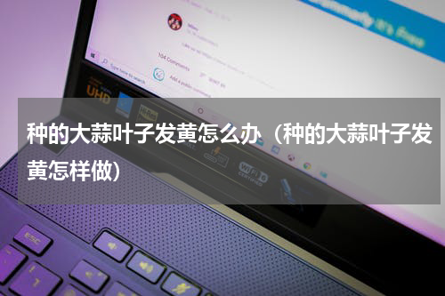 种的大蒜叶子发黄怎么办（种的大蒜叶子发黄怎样做）
