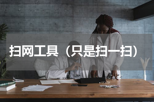 扫网工具（只是扫一扫）
